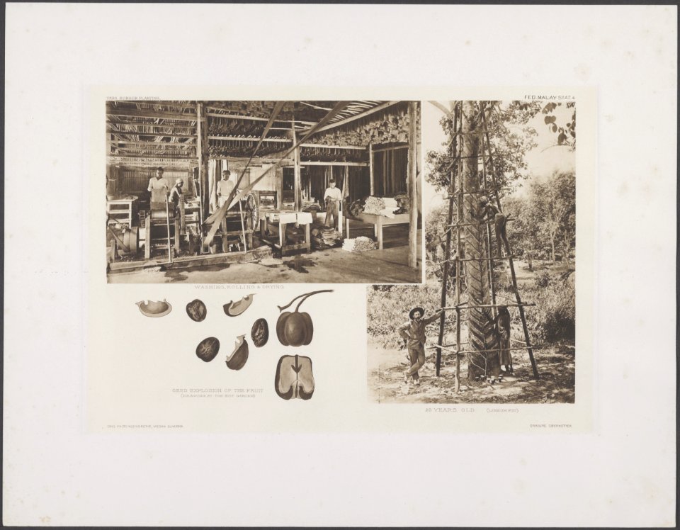 Collectie Fotocollectie Deli Maatschappij, fotonummer 844 27, Bestanddeelnr 844 27