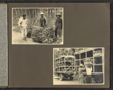 Collectie Fotocollectie Deli Maatschappij, fotonummer 840 22, Bestanddeelnr 840 22
