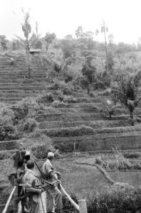 Collectie Fotocollectie Dienst voor Legercontacten Indonesië, fotonummer 1605-2-, Bestanddeelnr 1605-2-4