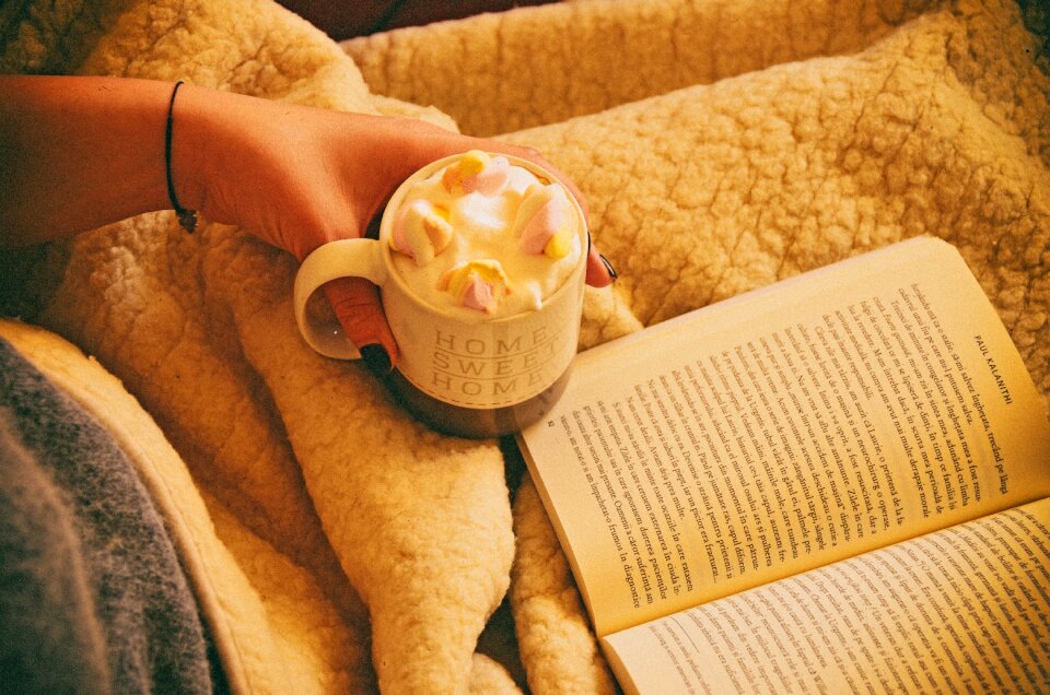 Chocolate cream cup