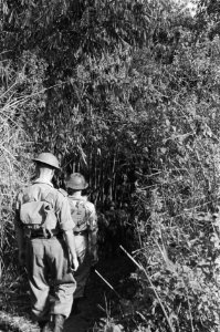 Collectie Fotocollectie Dienst voor Legercontacten Indonesië, fotonummer 2322, Bestanddeelnr 2322
