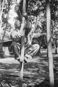 Collectie Fotocollectie Dienst voor Legercontacten Indonesië, fotonummer 242-1-1, Bestanddeelnr 242-1-1