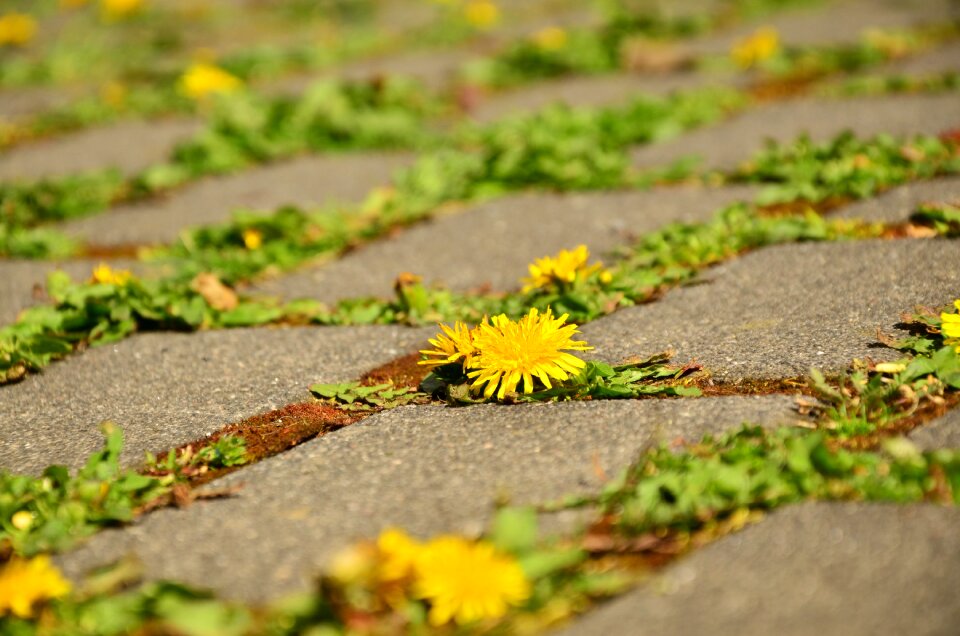 Assertiveness away yellow