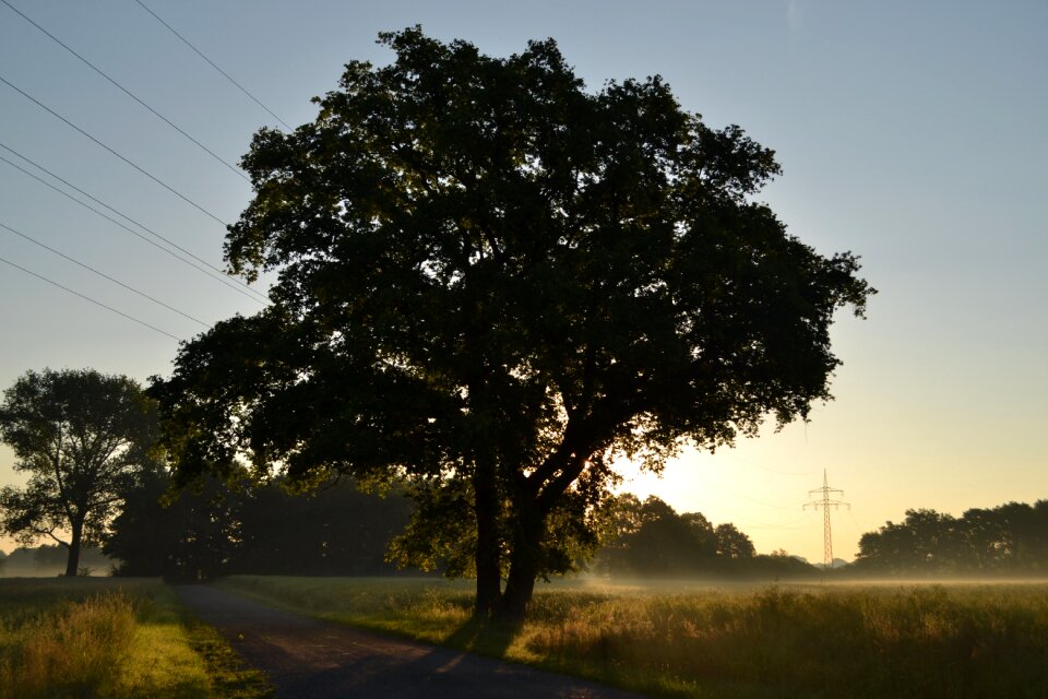 Field sun morgenstimmung photo