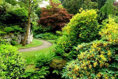 China - Biddulph Grange Garden - Staffordshire, England - DSC09390