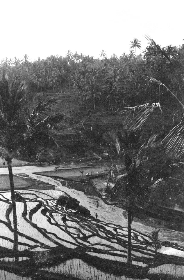 Collectie Fotocollectie Dienst voor Legercontacten Indonesië, fotonummer 1632-10, Bestanddeelnr 1632-10-5