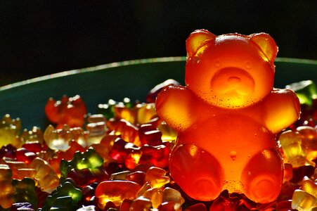 Gummi bear bear delicious