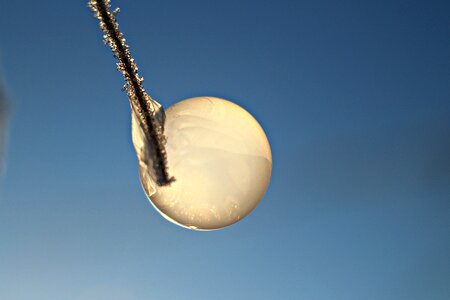 Frost ball frozen cold