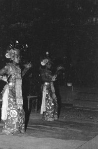 Collectie Fotocollectie Dienst voor Legercontacten Indonesië, fotonummer 1632-12, Bestanddeelnr 1632-12-4