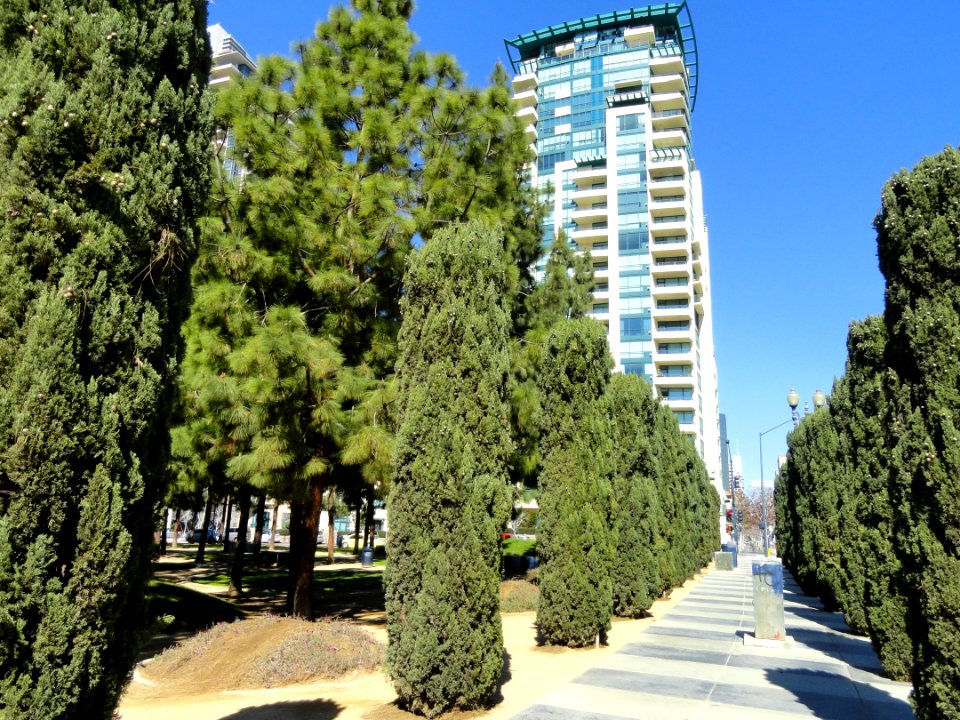 Children's Park, San Diego - DSC06963