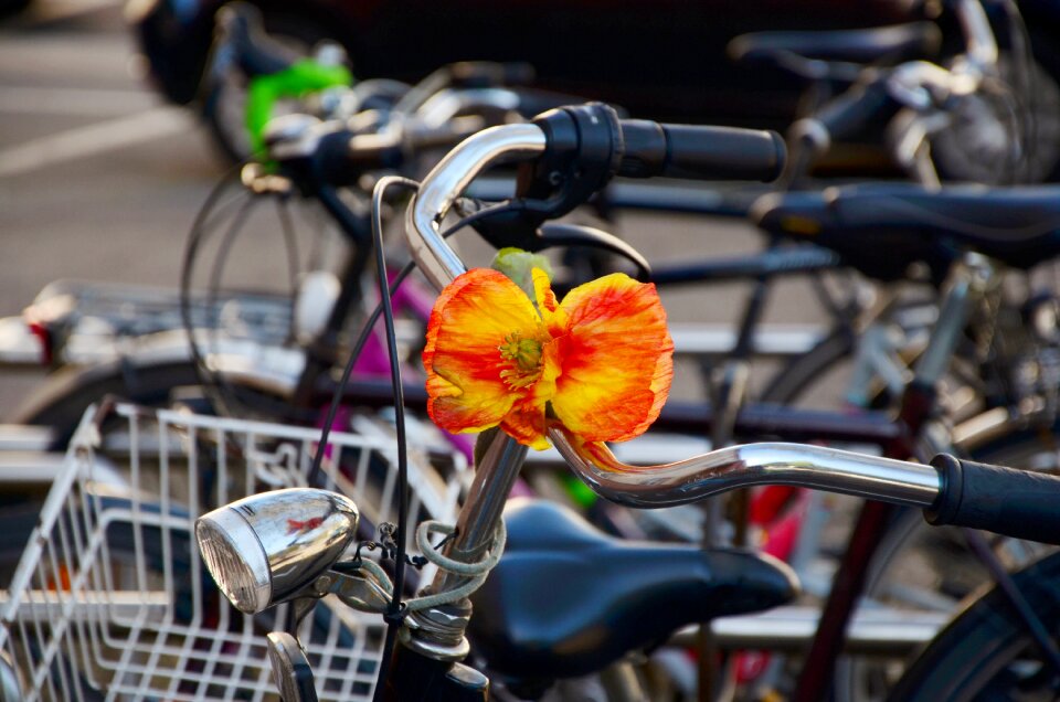 Bicycles bicycle handlebar metallic