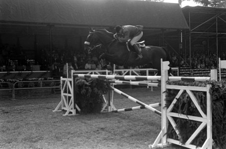 CHIO te Rotterdam. Anton Ebben in aktie met paard Kairouan, Bestanddeelnr 920-6419