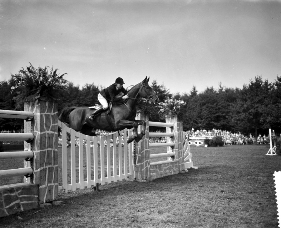 CHIO te Rotterdam, Miss Townsend op Bandit IV werd Europees kampioen amazone, Bestanddeelnr 910-6566