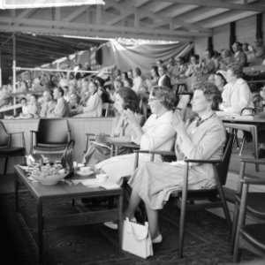 CHIO te Rotterdam, prinses Beatrix, Bestanddeelnr 914-2512