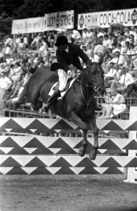 CHIO te Rotterdam, S Hayes uit Ierland met zijn paard Goodbye, Bestanddeelnr 916-8435
