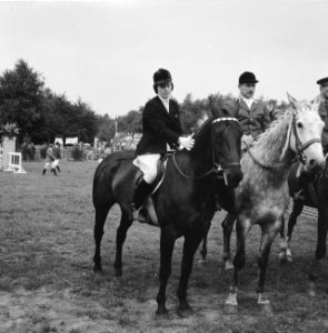 CHIO te Rotterdam, internationaal springconcours, Bestanddeelnr 911-5329