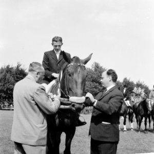 CHIO te Rotterdam, Bestanddeelnr 914-2515