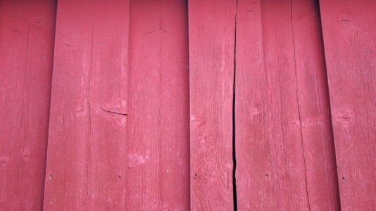 Wooden fresh texture