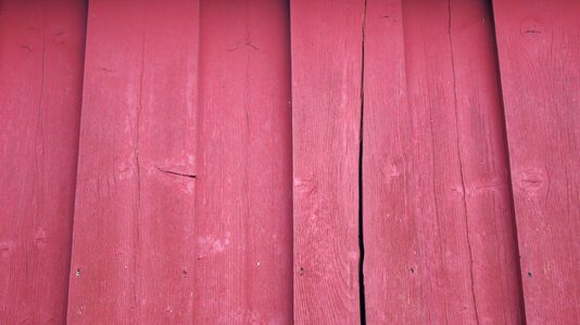 Wooden fresh texture photo