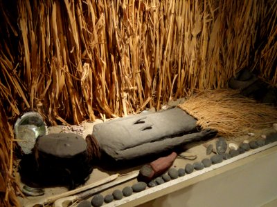 Chinchorro mummy, south coast of Peru or north coast of Chile, 5000-2000 BC - San Diego Museum of Man - DSC06921