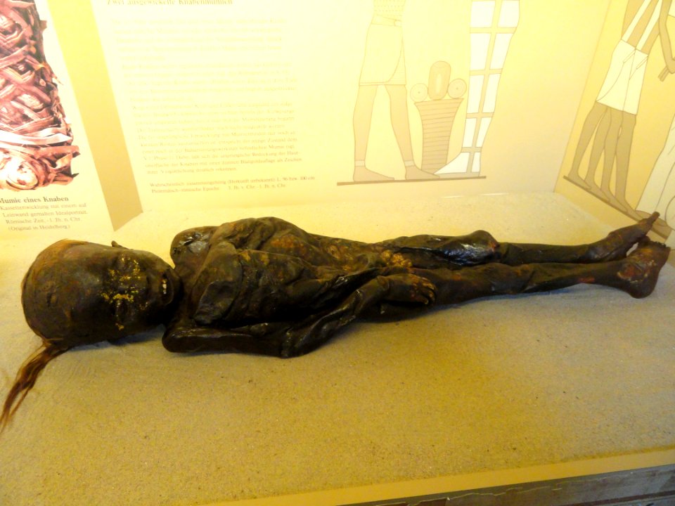 Child mummy - Naturmuseum Senckenberg - DSC02252