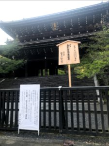 Chion In signs 20200426