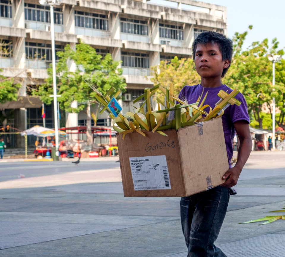 Child selling sacred palm for Palm Sunday