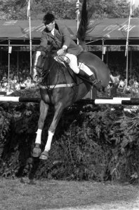 CHIO Rotterdam D. Broome in actie met Manhatton VI, Bestanddeelnr 927-4093