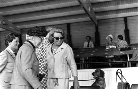 CHIO te Rotterdam, tweede dag, nr 14 Prinses Beatrix en Prinses Armgard, Bestanddeelnr 916-8430