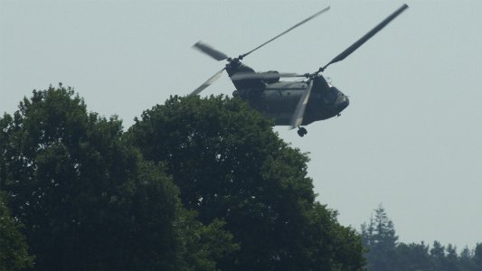 Chinook Ermelosche Heide