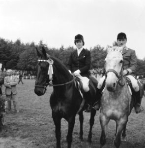 CHIO te Rotterdam, internationaal springconcours, Bestanddeelnr 911-5330