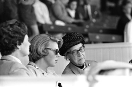 CHIO te Rotterdam, tweede dag, in de ereloge Prinses Beatrix en Prinses Armgard, Bestanddeelnr 916-8424