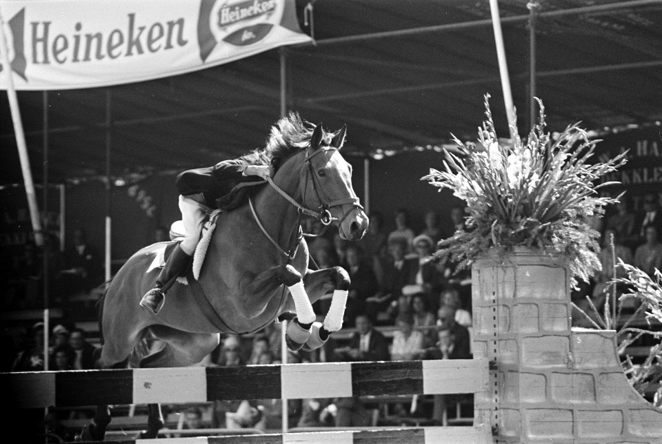 CHIO te Rotterdam, tweede dag, ruiters in actie, Bestanddeelnr 916-8426