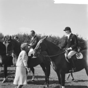 CHIO te Rotterdam, Bestanddeelnr 914-2550
