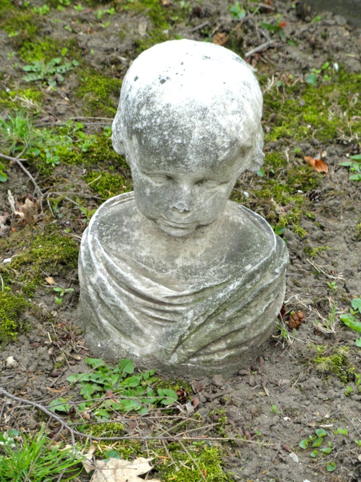 Child's head - Sculpture in Mount Auburn Cemetery - DSC06495