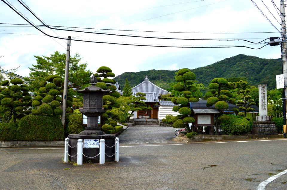 Chikuzen Kokubunji entrance