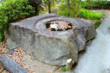 Chishiki-ji (Kashiwara), shinso