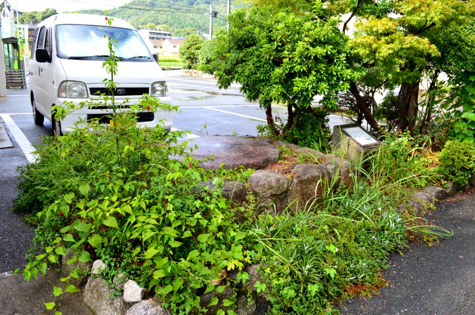 Chikuzen Kokubunniji-2