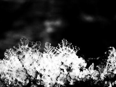 Cold black and white macro