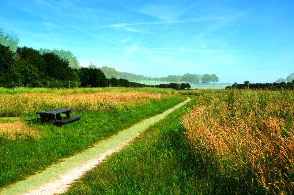 Path landscape scenic