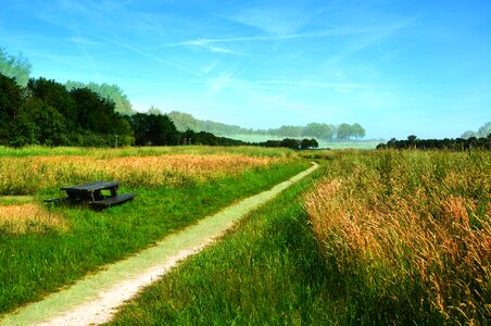 Path landscape scenic
