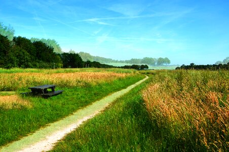 Path landscape scenic photo