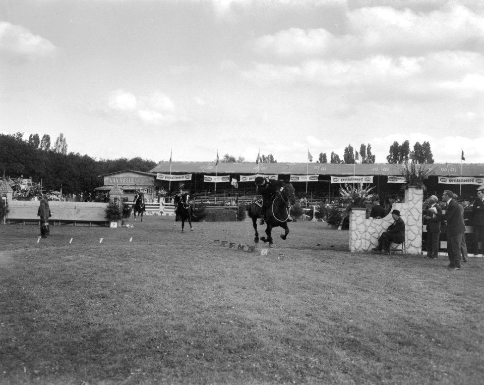 CHIO te Rotterdam, Bestanddeelnr 914-2473