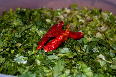 Chipotle serrano