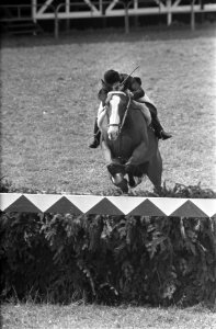CHIO te Rotterdam nr. 5 Miss A. Ross i.a. nr. 6,7 Mrs. Backhouse i.a., Bestanddeelnr 922-7607