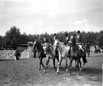 CHIO te Rotterdam, vlnr Pat Smythe op Bandit IV , Townsend op Flanagan, Bestanddeelnr 910-6567