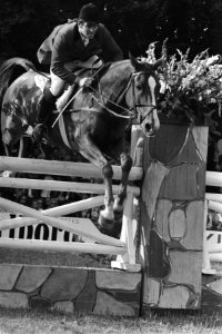 CHIO Rotterdam Harvey Smith in actie met Salvador III, Bestanddeelnr 927-4092