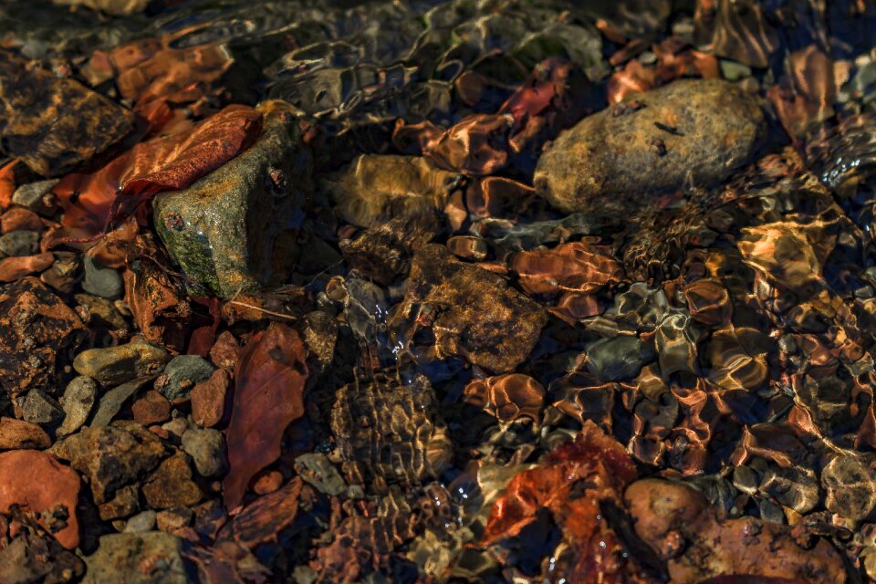 Nature close up moist