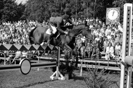 CHIO te Rotterdam. Europese kampioenschappen springruiter Nummer 1 Kaptein Weier, Bestanddeelnr 920-6540