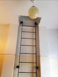 Chevening Flats ladder photo